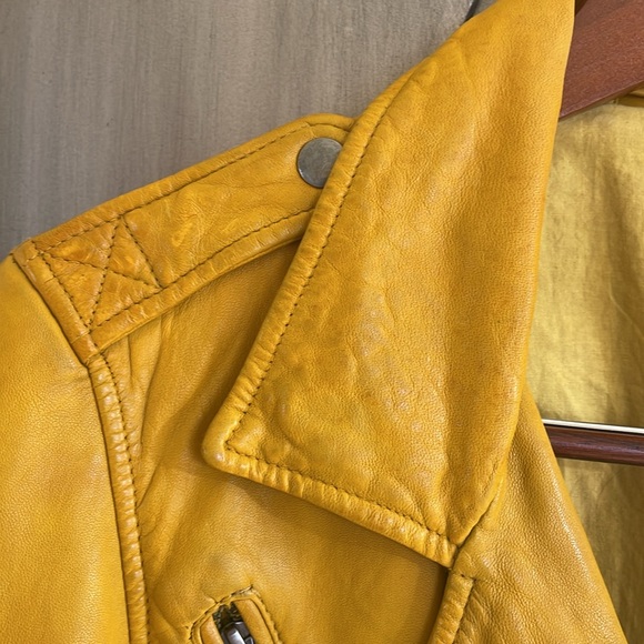 Linea Pelle Mustard Yellow Leather Moto Jacket Medium - Picture 3 of 9